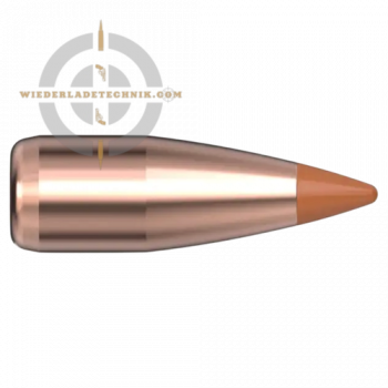 Preview: Hornady NTX 22000 Geschoss